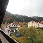 Zum Gruenen Specht * Oberzeiring