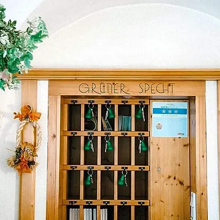 Zum Gruenen Specht * Oberzeiring